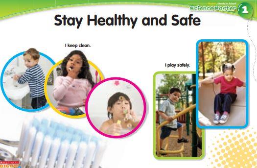 Stay Healthy and Safe 